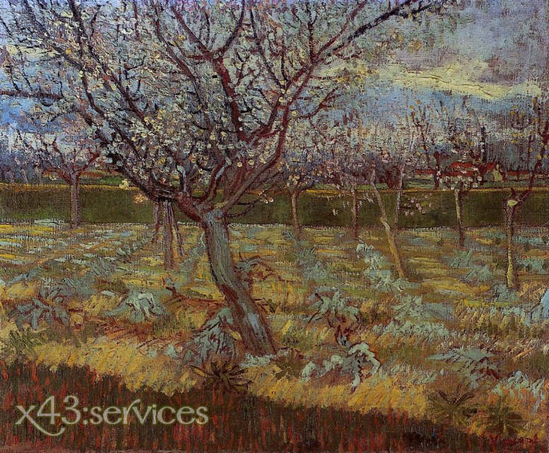 Vincent van Gogh - Aprikosenbaum in der Bluete